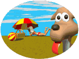 Dog beach