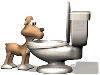 Dog drinking