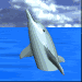 Click here for more fish animation